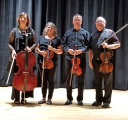 Vivace string quartet performing live