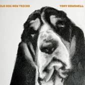 Old Dog New Tricks album cover