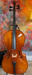 Eastman 100