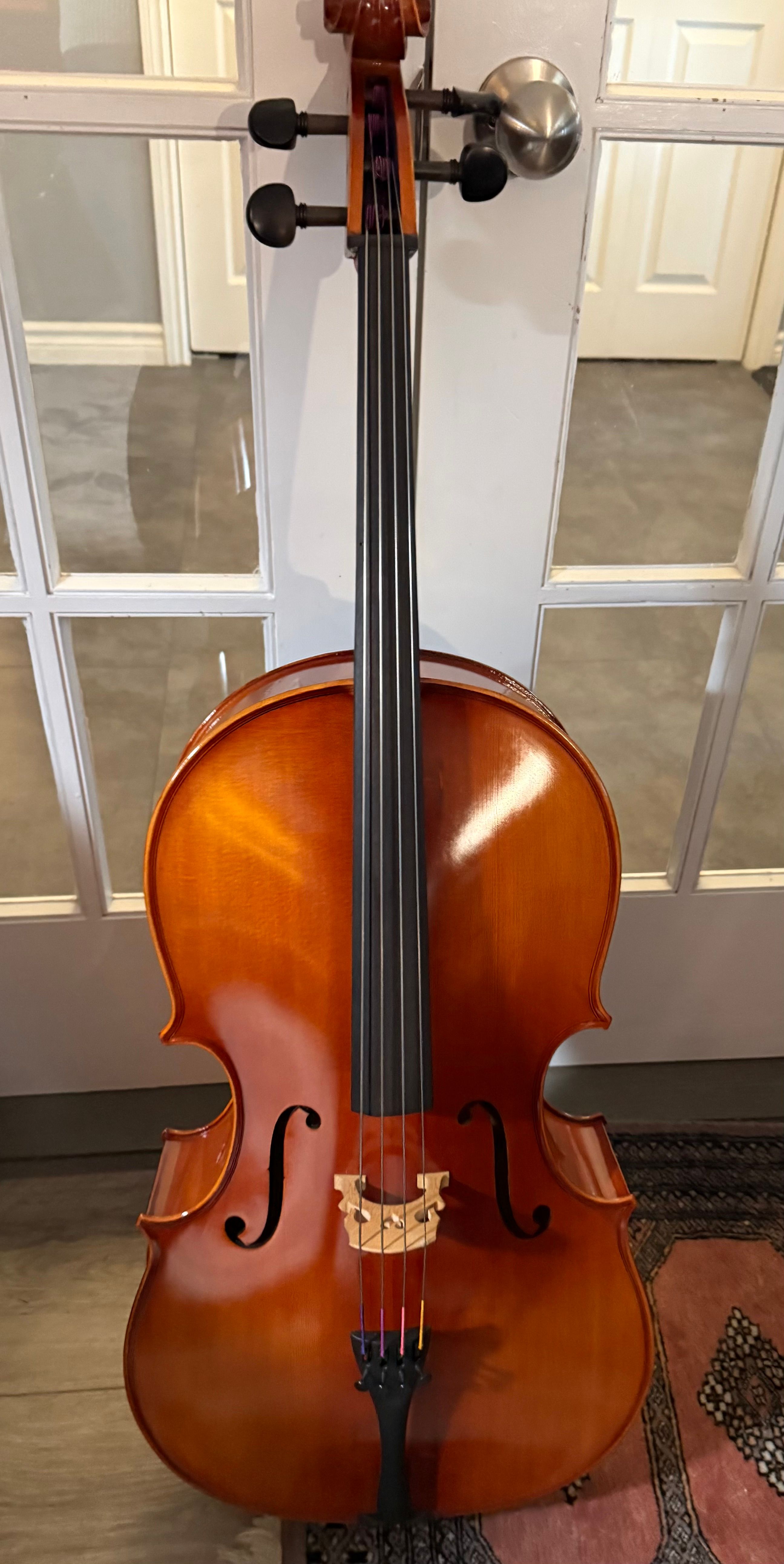 Eastman 100 cello